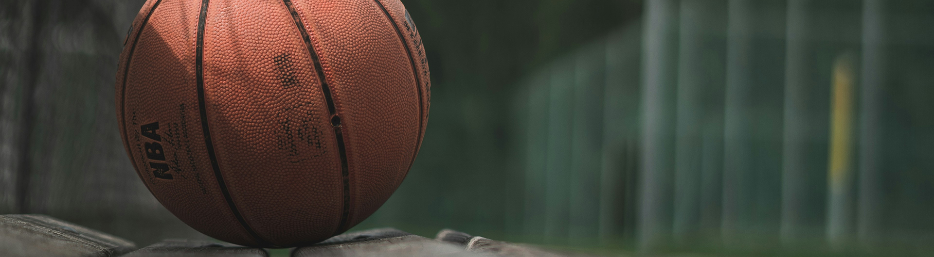 Bachelor Executive in Performance Management and Sports Science